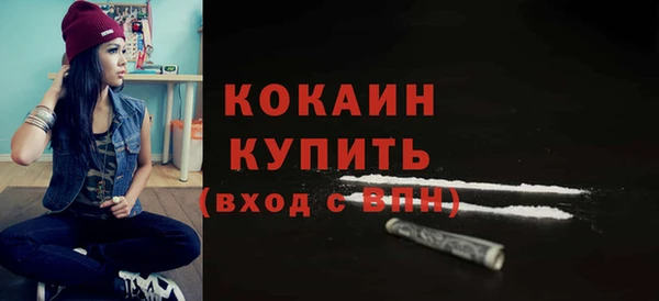 хмурый Арсеньев