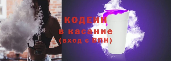 хмурый Арсеньев