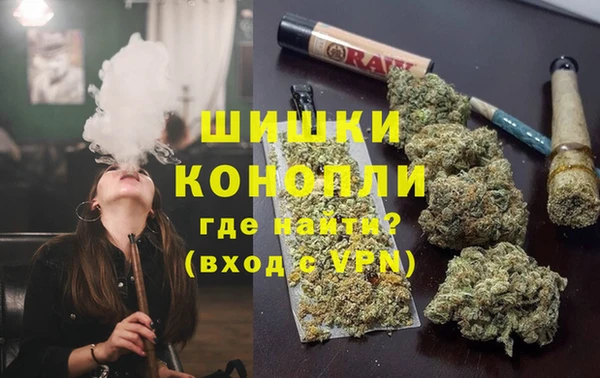 хмурый Арсеньев