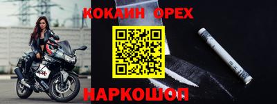 шишки Славгород