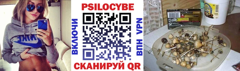 Галлюциногенные грибы Psilocybe  блэк спрут зеркало  Углич  что такое  